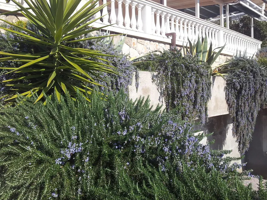 Ferienwohnung in Blato haustiergeeignet 66126306 12870