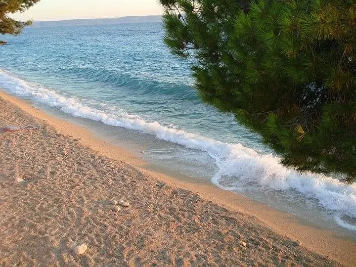 Ferienwohnung in Vodice haustiergeeignet 999212935 40490 – Foto 15