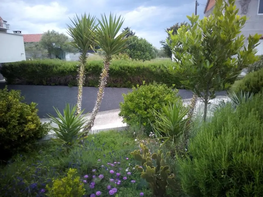 Ferienwohnung in Bibinje  999212264 39930 – Foto 17