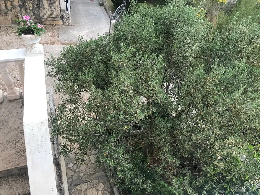 Ferienwohnung in Sibenik  999203014 31273 – Foto 13