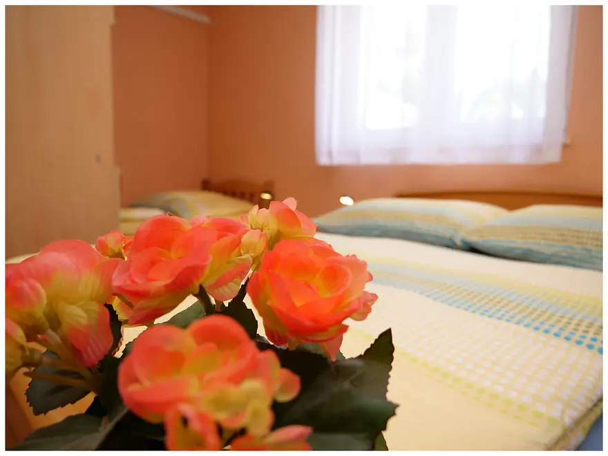 Ferienwohnung in Primosten  999206505 34606 – Foto 7
