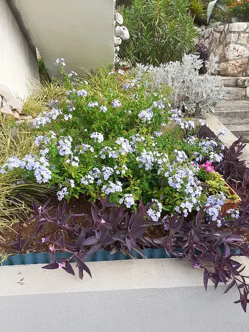Ferienwohnung in Blato  999203993 32217 – Foto 45