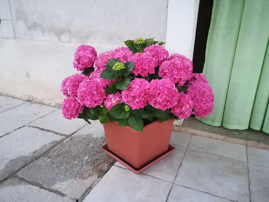Ferienwohnung in Opatija  999205405 33561 – Foto 22