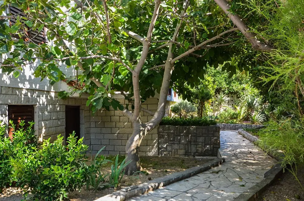 Ferienwohnung in Pag  999202461 30748 – Foto 7