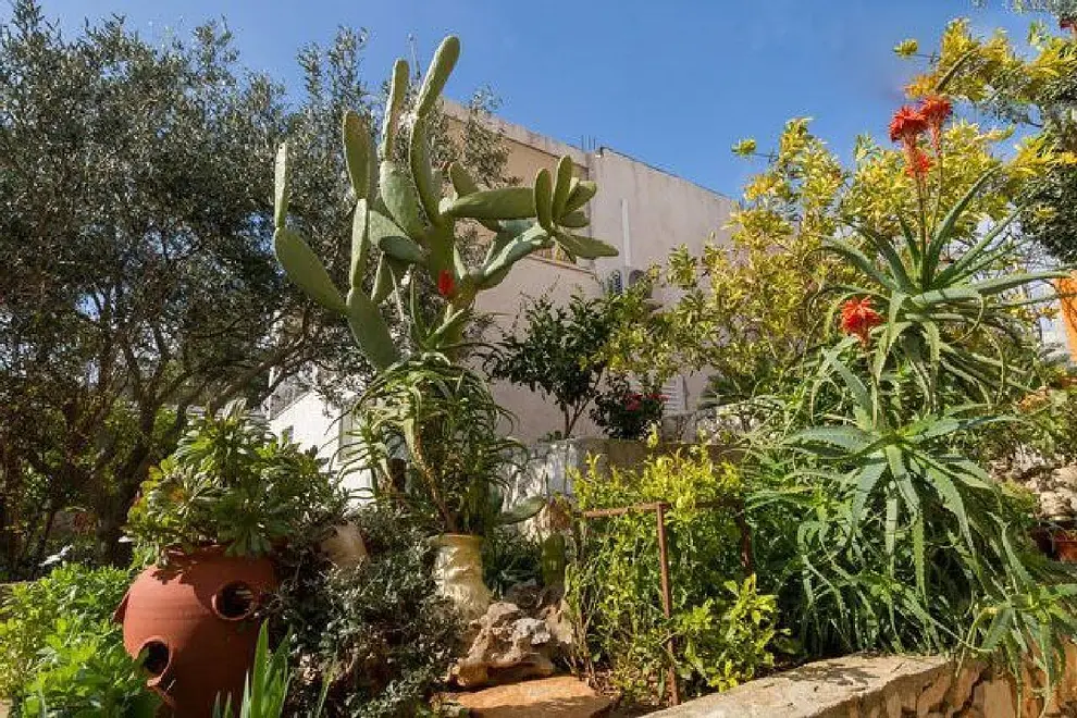 Ferienwohnung in Ciovo haustiergeeignet 999203106 31363 – Foto 9