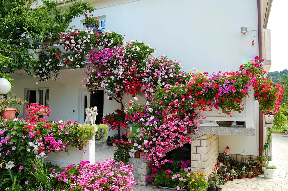 Ferienwohnung in Palit  6616705 1705