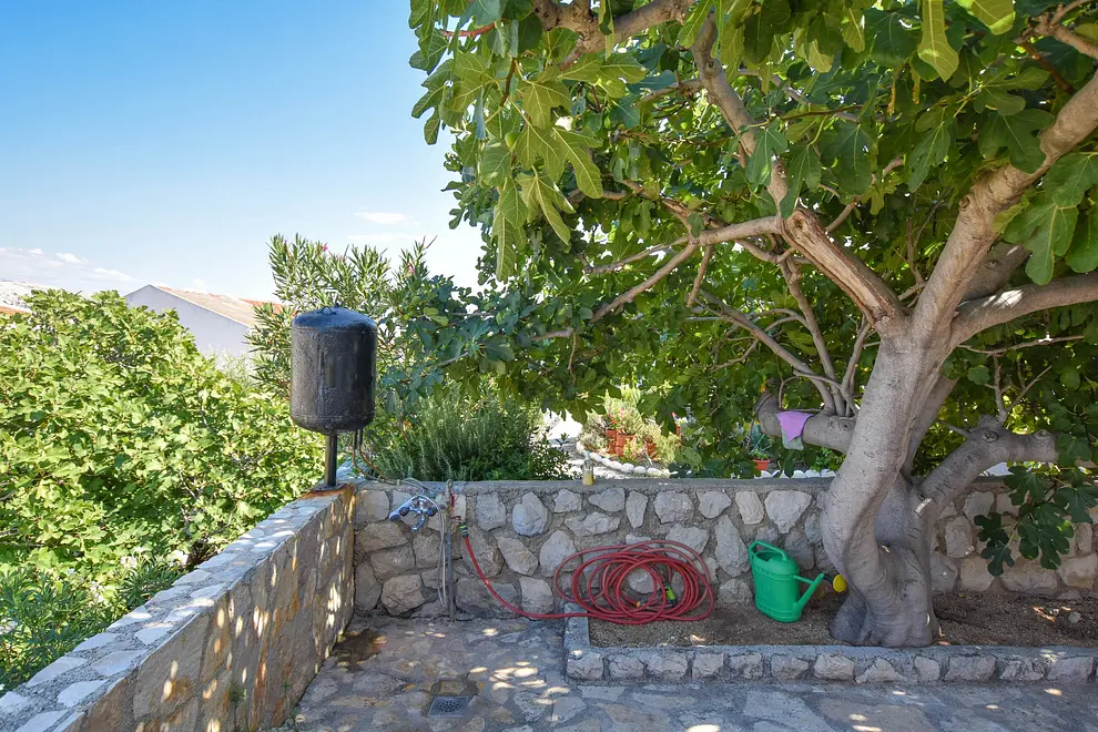 Ferienwohnung in Pag  999208441 36407 – Foto 9
