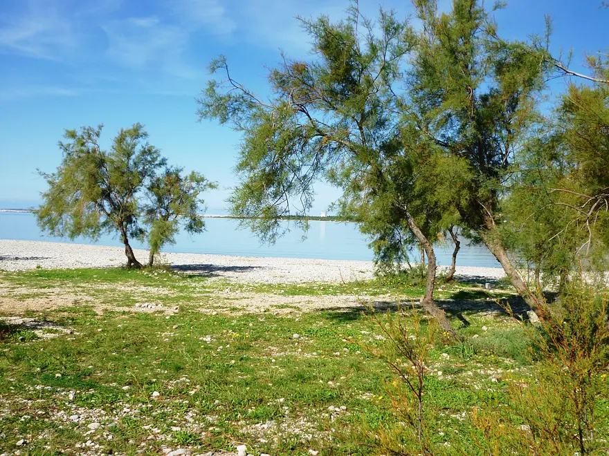 Ferienwohnung in Starigrad  999206101 34221 – Foto 9
