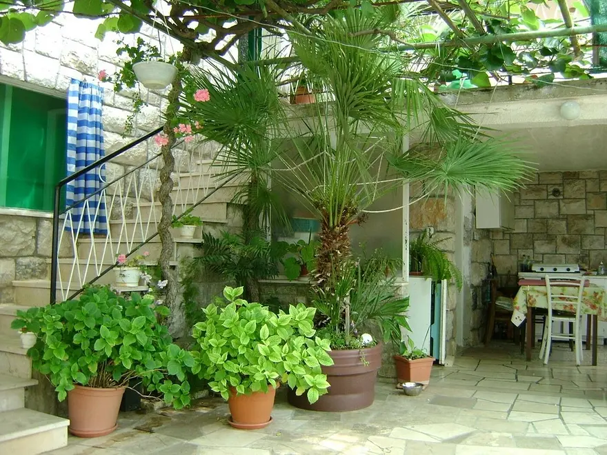 Ferienwohnung in Brac  999208612 36568 – Foto 21