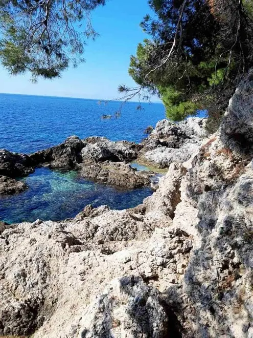 Ferienwohnung in Dubrovnik  999212195 39876 – Foto 24