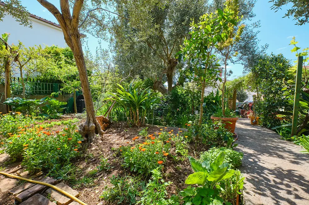 Ferienwohnung in Losinj  999211205 39017 – Foto 10