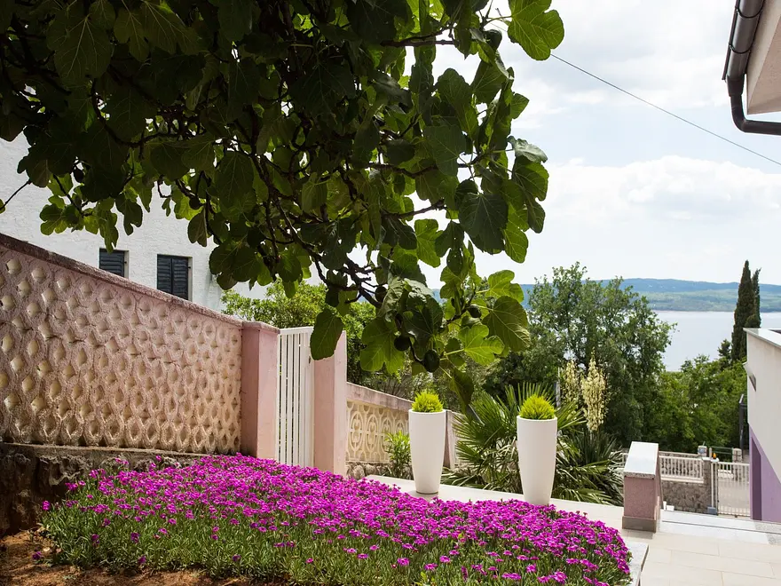 Ferienwohnung in Crikvenica haustiergeeignet 66131210 16632