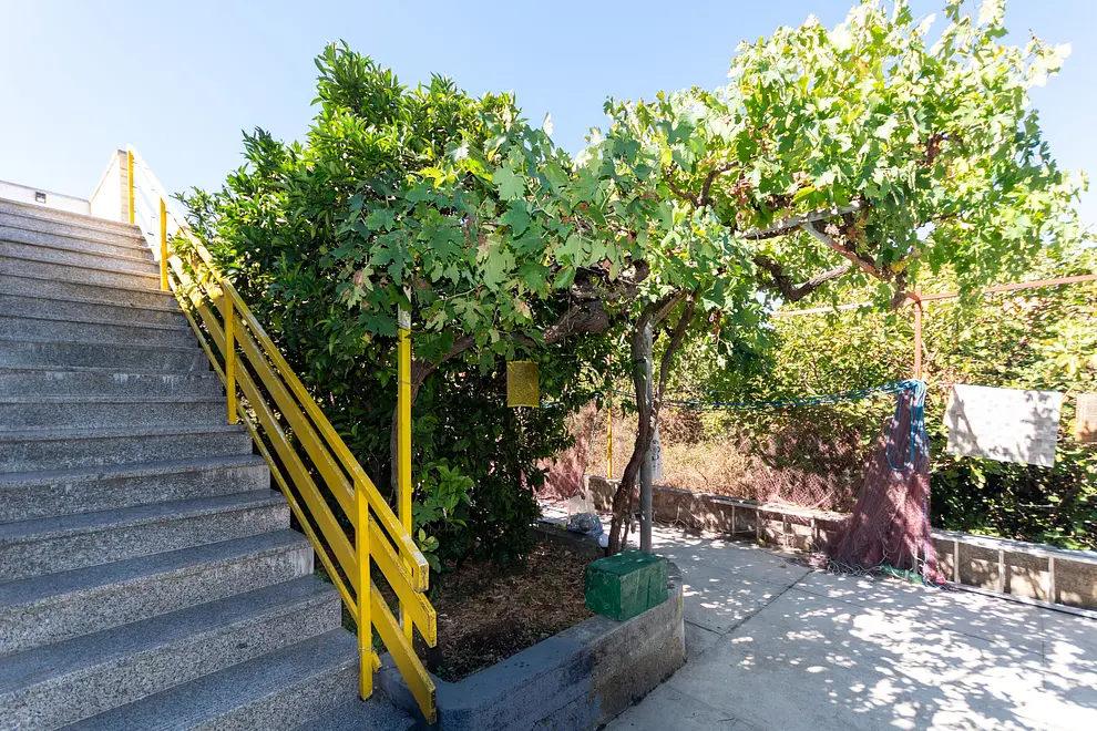 Ferienwohnung in Dugi Otok  999206950 35033 – Foto 16