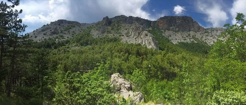 Ferienwohnung in Starigrad  999205617 33759 – Foto 3