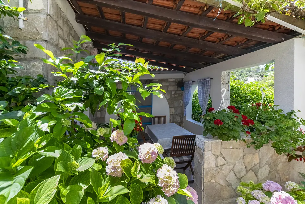 Ferienwohnung in Solta mit Pool 66140446 29357