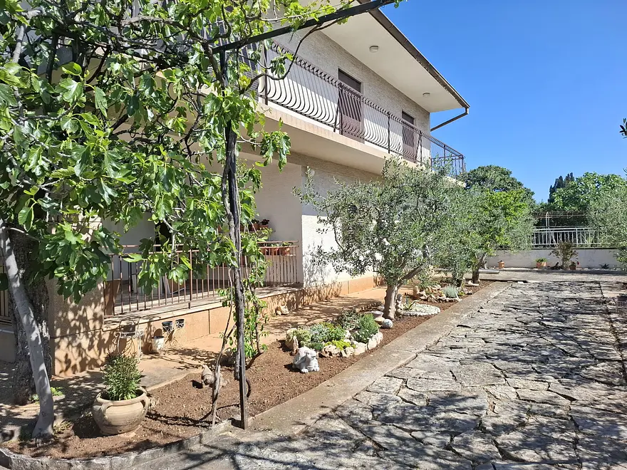 Ferienwohnung in Vodice haustiergeeignet 66159363 29614