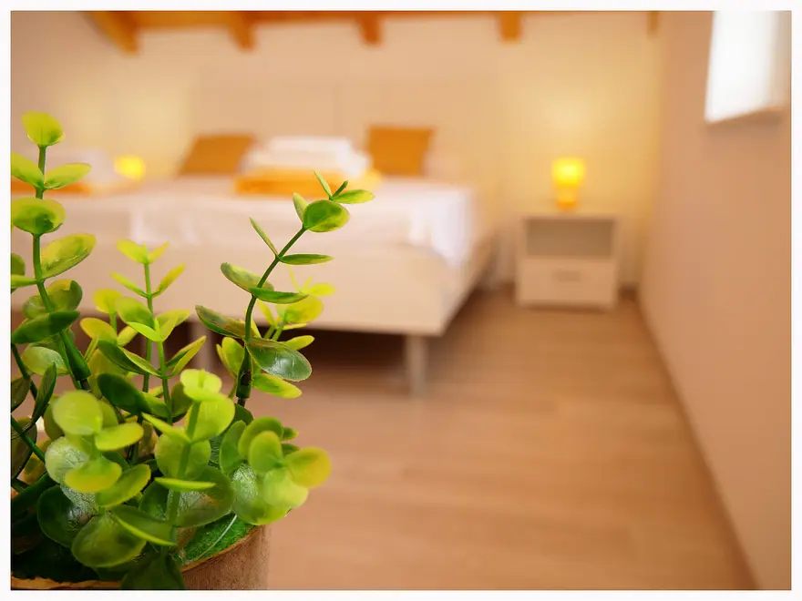 Ferienwohnung in Primosten  999210323 38187 – Foto 4