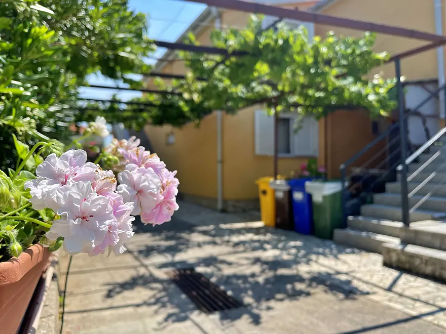 Ferienwohnung in Dobrinj haustiergeeignet 66122267 9879