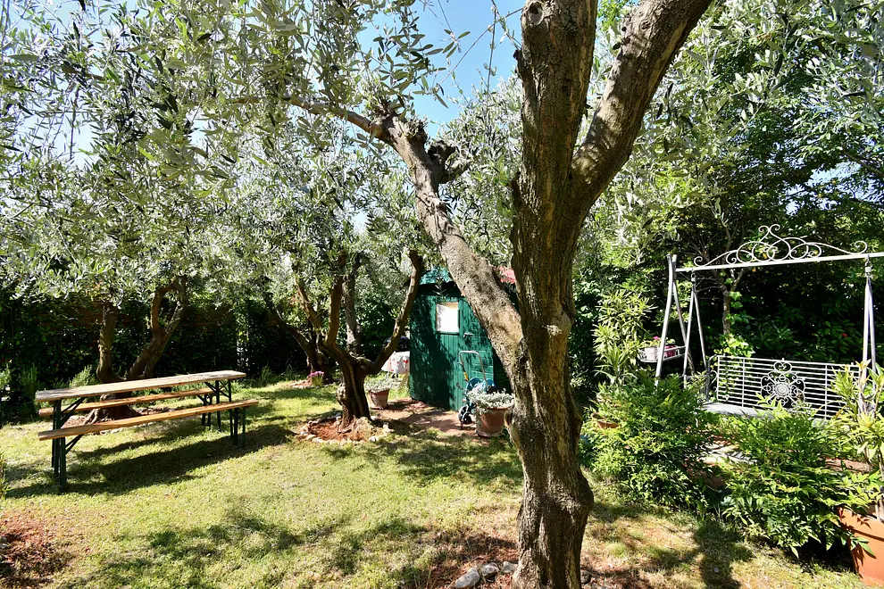 Ferienwohnung in Porec haustiergeeignet 999212383 40024 – Foto 29