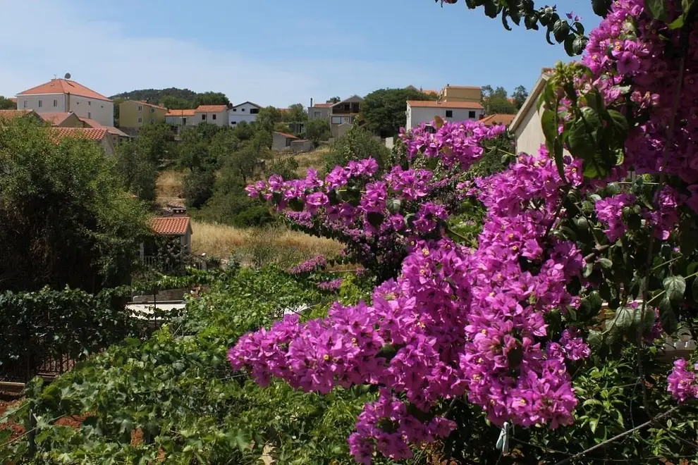 Ferienwohnung in Dugi Otok  999212452 40081 – Foto 19