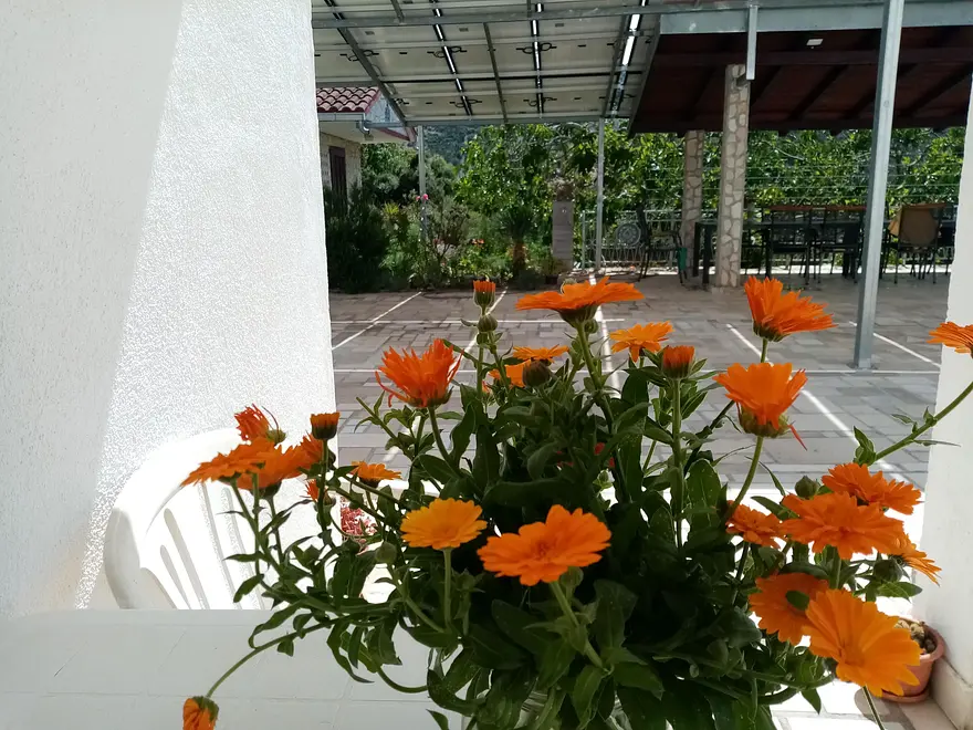 Ferienwohnung in Marina  999212903 40460 – Foto 9