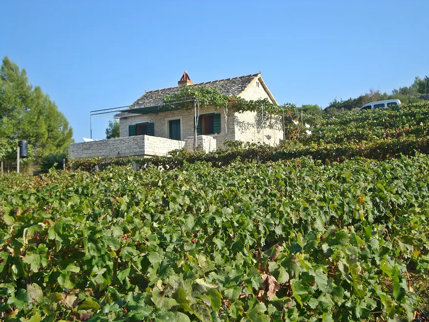 Ferienwohnung in Brac haustiergeeignet 999202903 31172 – Foto 28