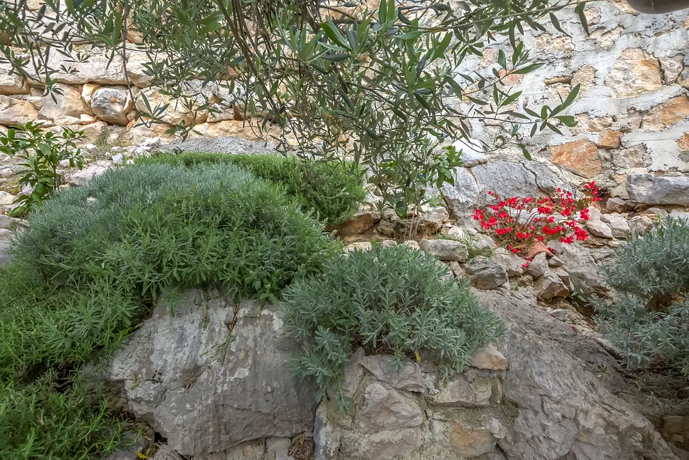 Ferienwohnung in Biograd  66145812 25462