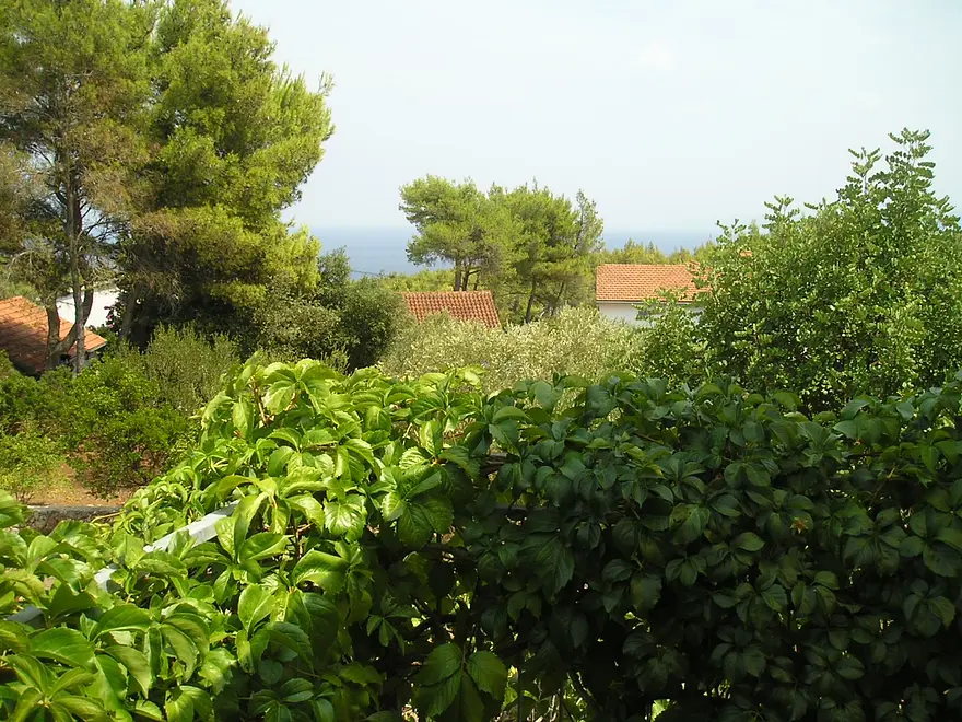 Ferienwohnung in Hvar haustiergeeignet 66124310 11342