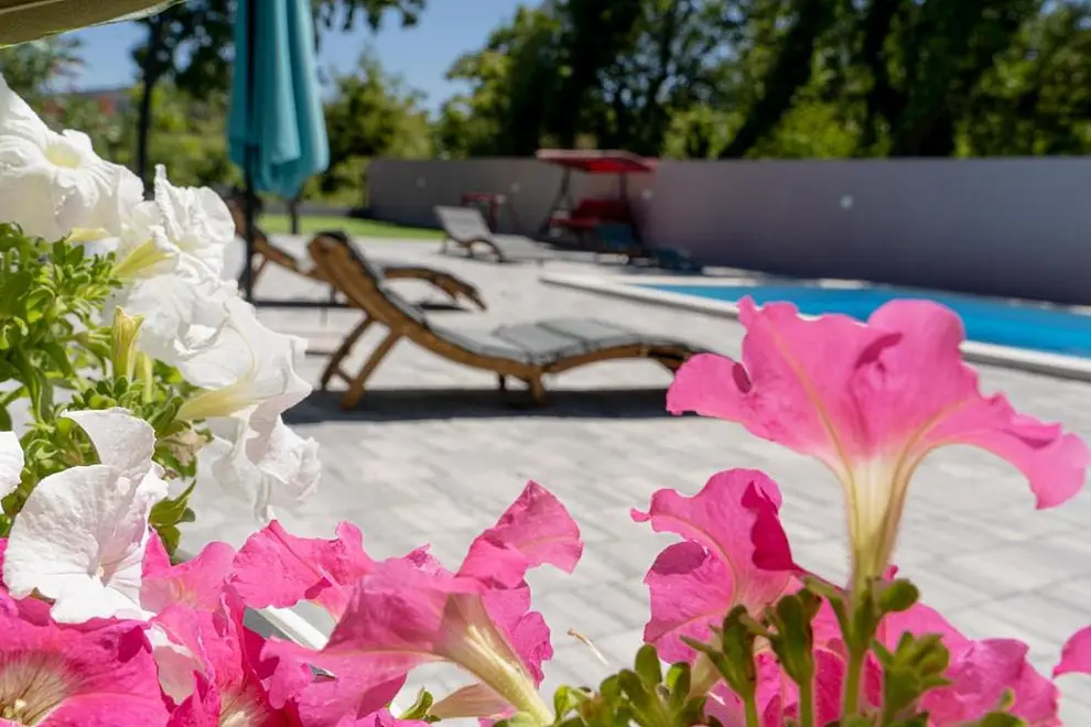 Ferienwohnung in Makarska mit Pool 999238050 43099 – Foto 11