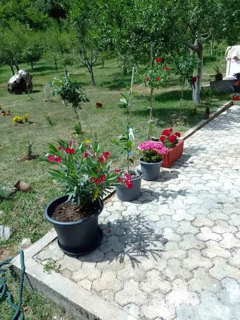 Ferienwohnung in Split  999226873 42449 – Foto 18