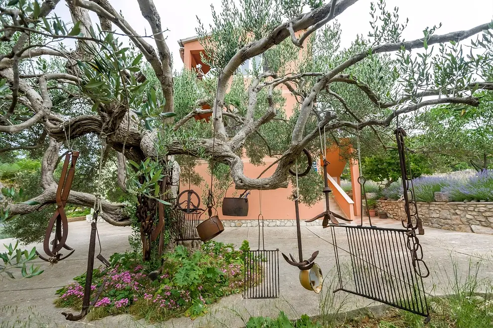 Ferienwohnung in Dugi Otok  999212882 40439 – Foto 2