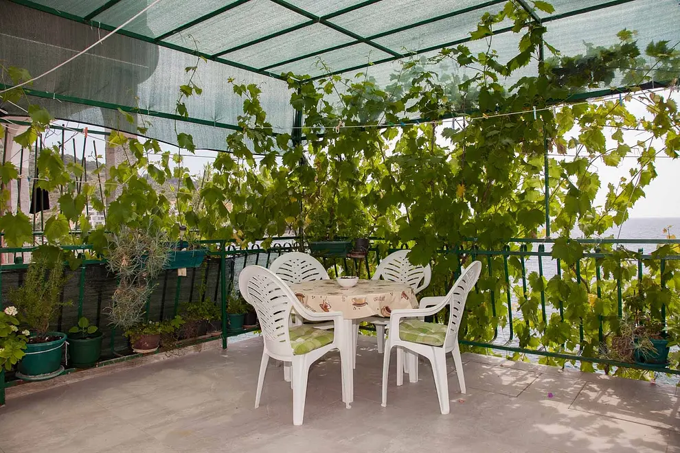 Ferienwohnung in Primosten  66159622 29710