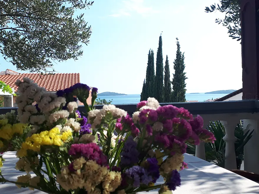 Ferienwohnung in Sibenik  66137088 20451