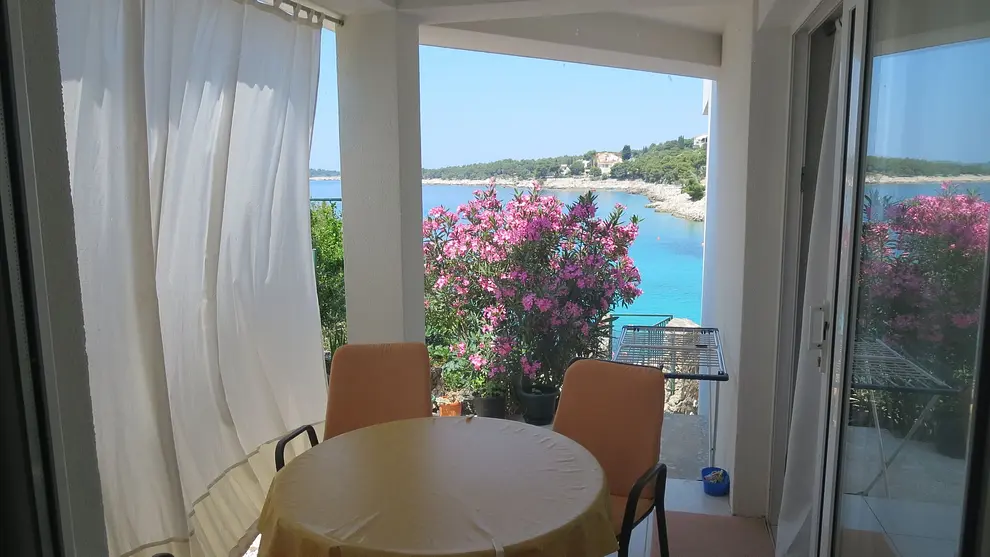 Ferienwohnung in Primosten haustiergeeignet 66112949 4049