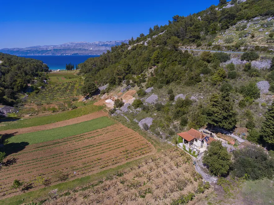 Ferienwohnung in Brac haustiergeeignet 999203098 31355 – Foto 13