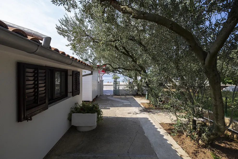 Ferienwohnung in Zadar haustiergeeignet 999207161 35229