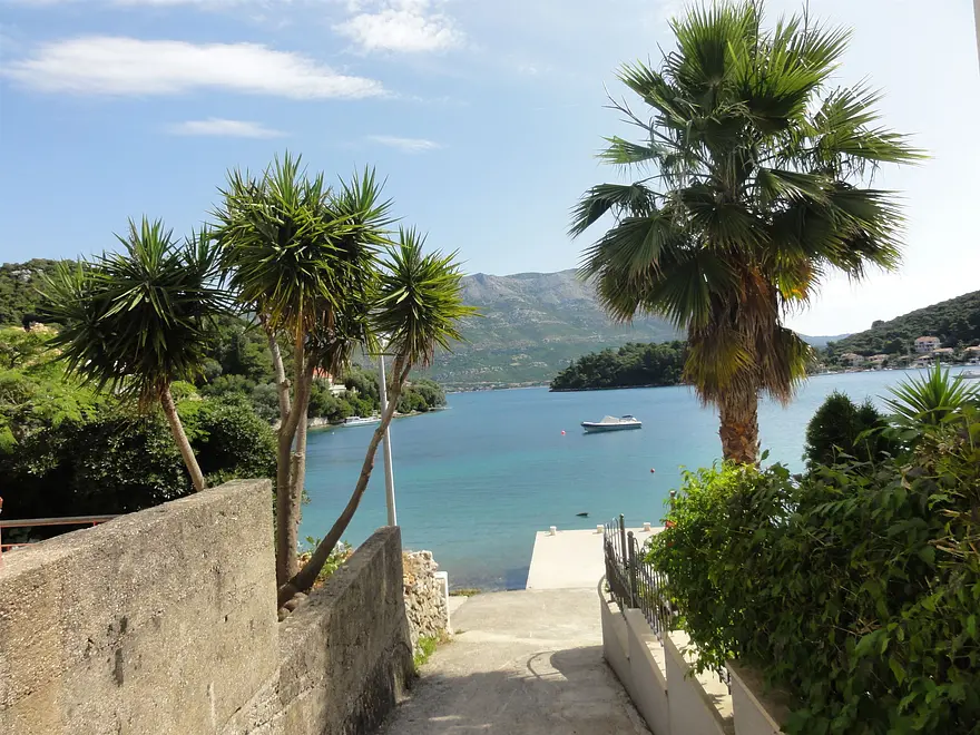 Ferienwohnung in Korcula haustiergeeignet 66124048 11155