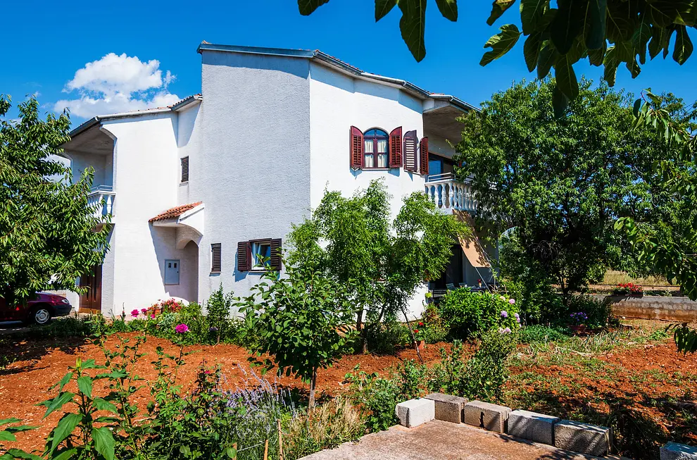 Ferienwohnung in Sukosan haustiergeeignet 66125681 12374