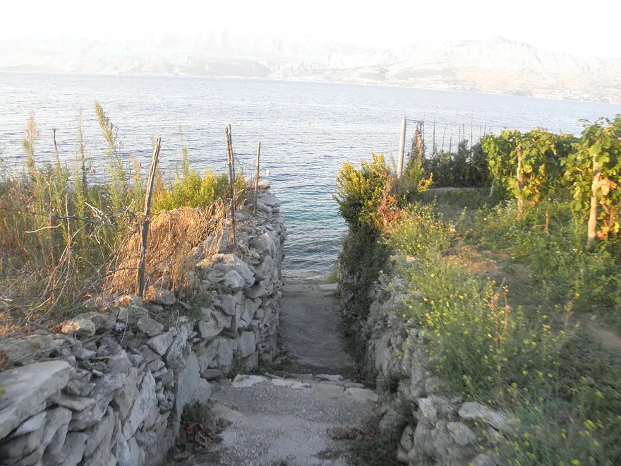 Ferienwohnung in Brac haustiergeeignet 999202862 31135 – Foto 19
