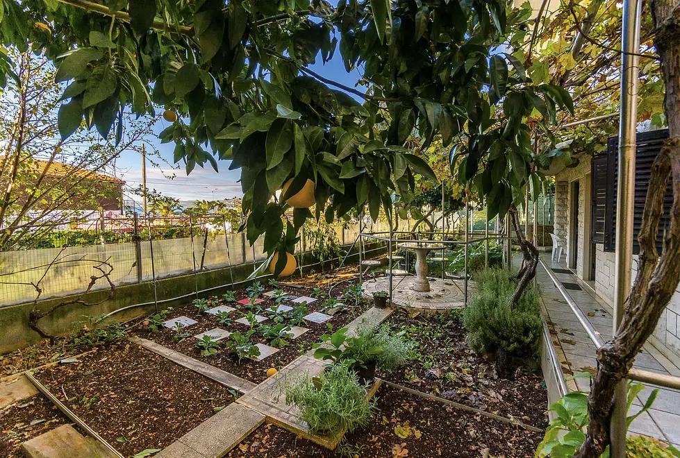 Ferienwohnung in Ciovo mit Pool 66114700 4991