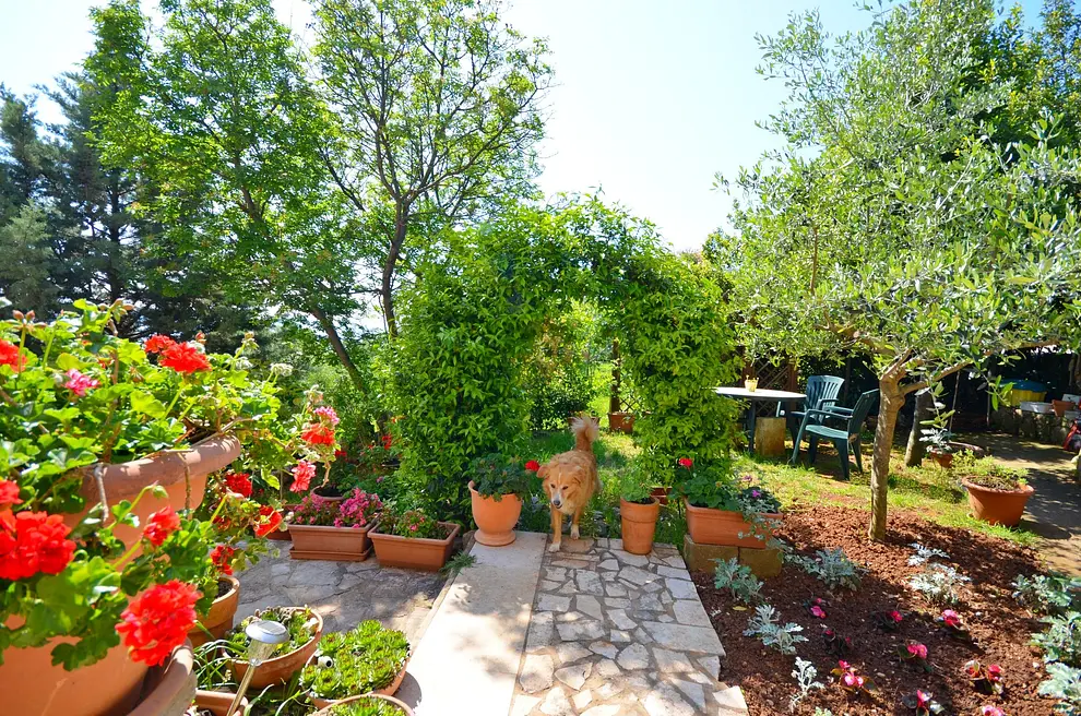 Ferienwohnung in Rabac  999203854 32080 – Foto 15