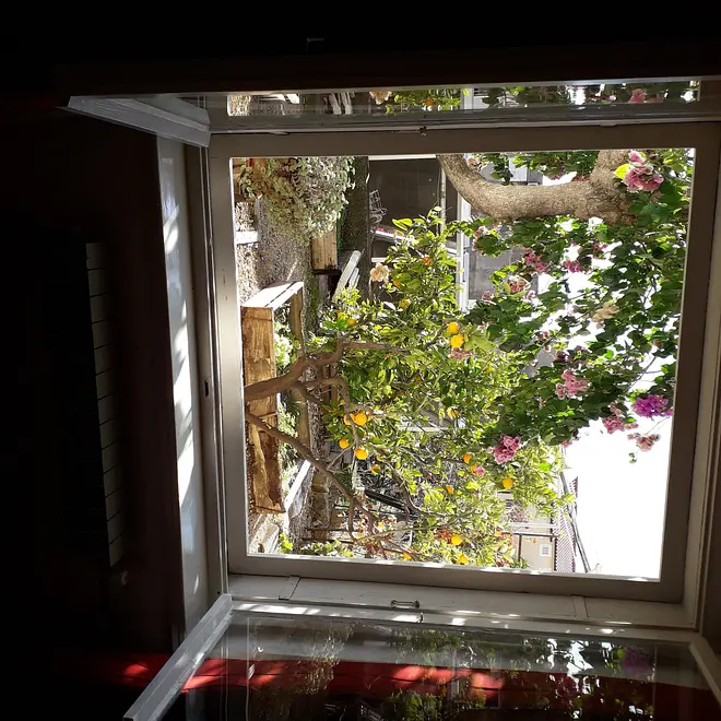Ferienwohnung in Makarska  999208819 36768 – Foto 5