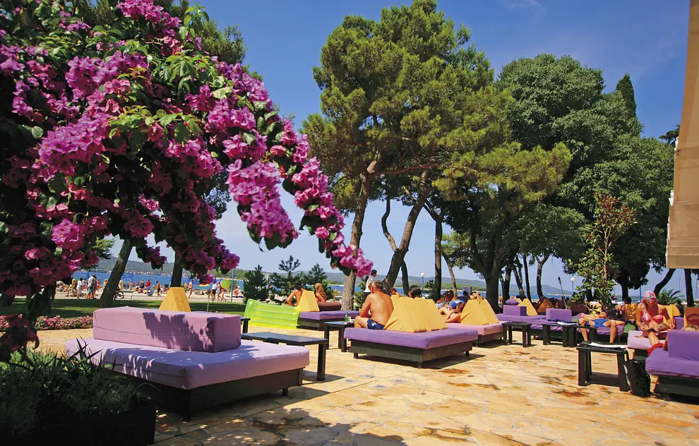 Ferienwohnung in Biograd  999206752 34840