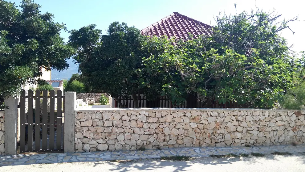 Ferienwohnung in Nin haustiergeeignet 66130816 16328