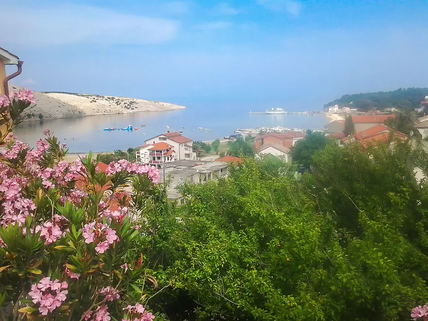 Ferienwohnung in Rab haustiergeeignet 66126767 13258