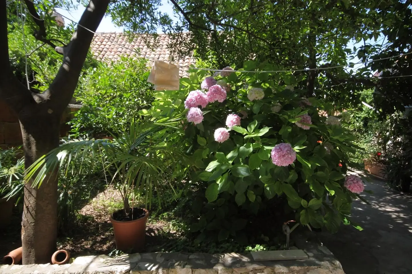Ferienwohnung in Dubrovnik haustiergeeignet 999209895 37794