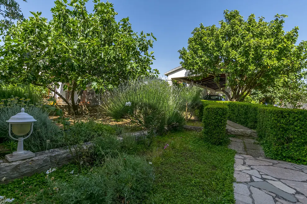 Ferienwohnung in Rogoznica  999206376 34481 – Foto 11