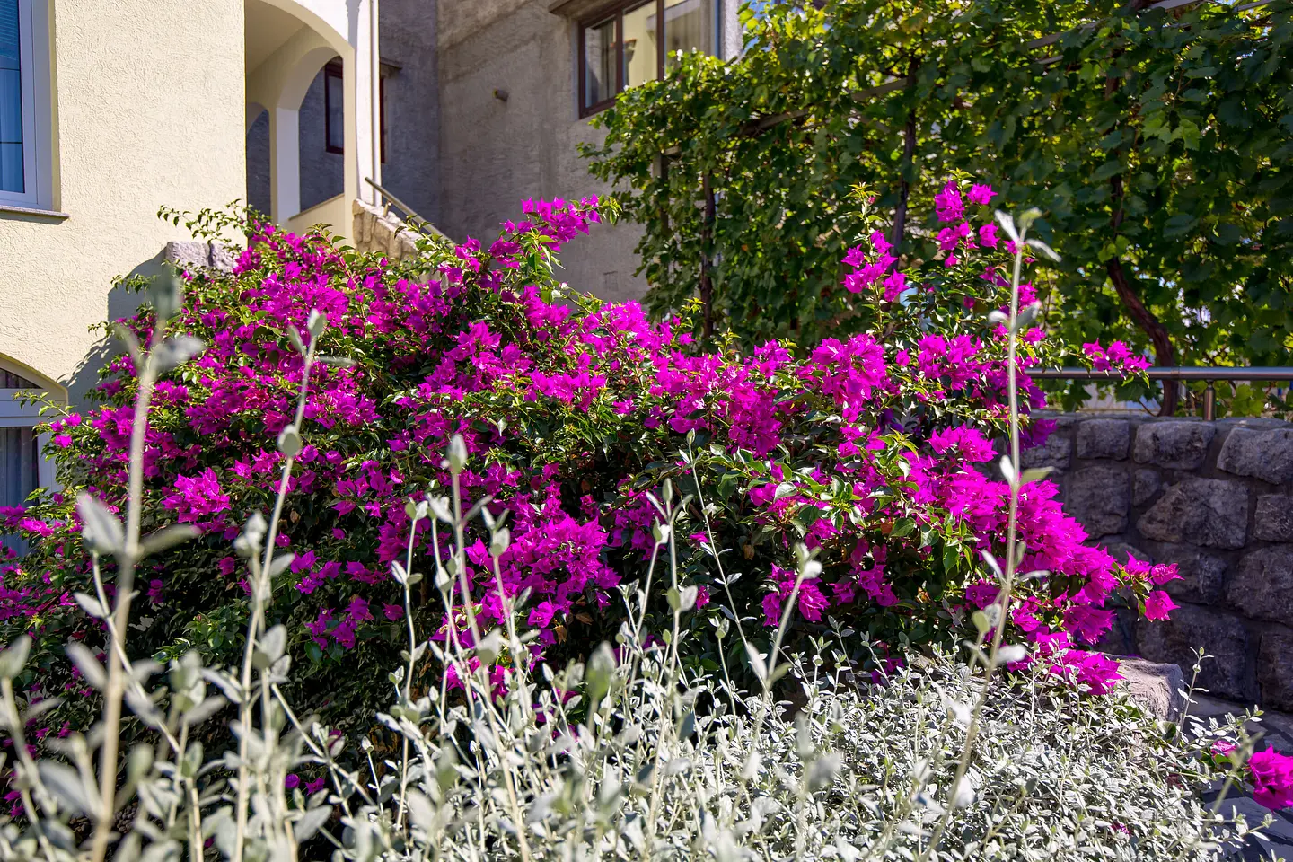 Ferienwohnung in Crikvenica  999203309 31564