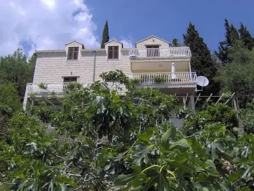 Ferienwohnung in Dubrovnik haustiergeeignet 66120521 8501