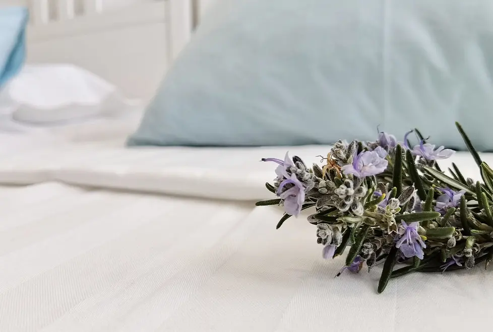 Ferienappartment in Brac mit Pool 66154553 27894